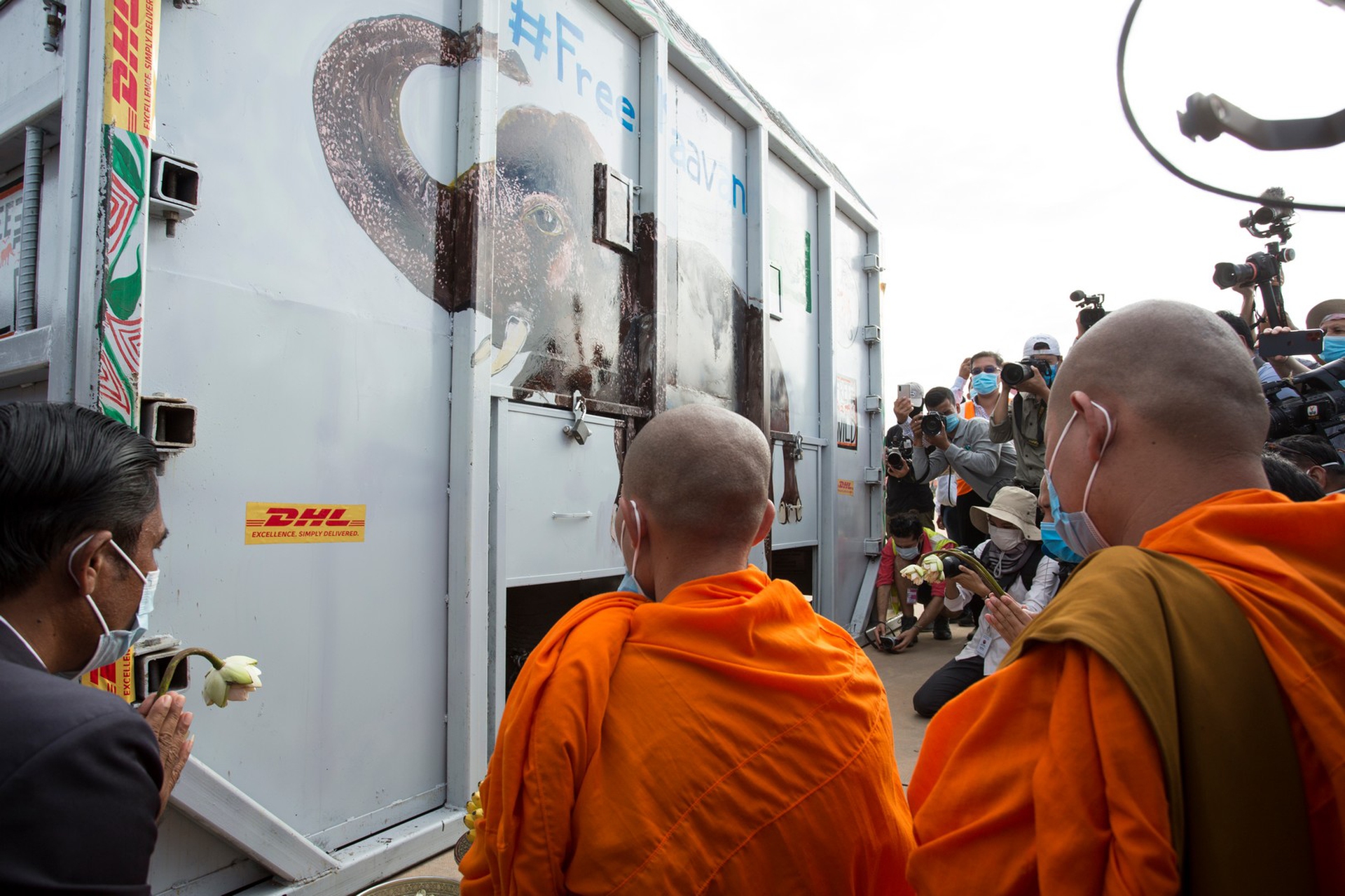 Il trasporto di kaavan