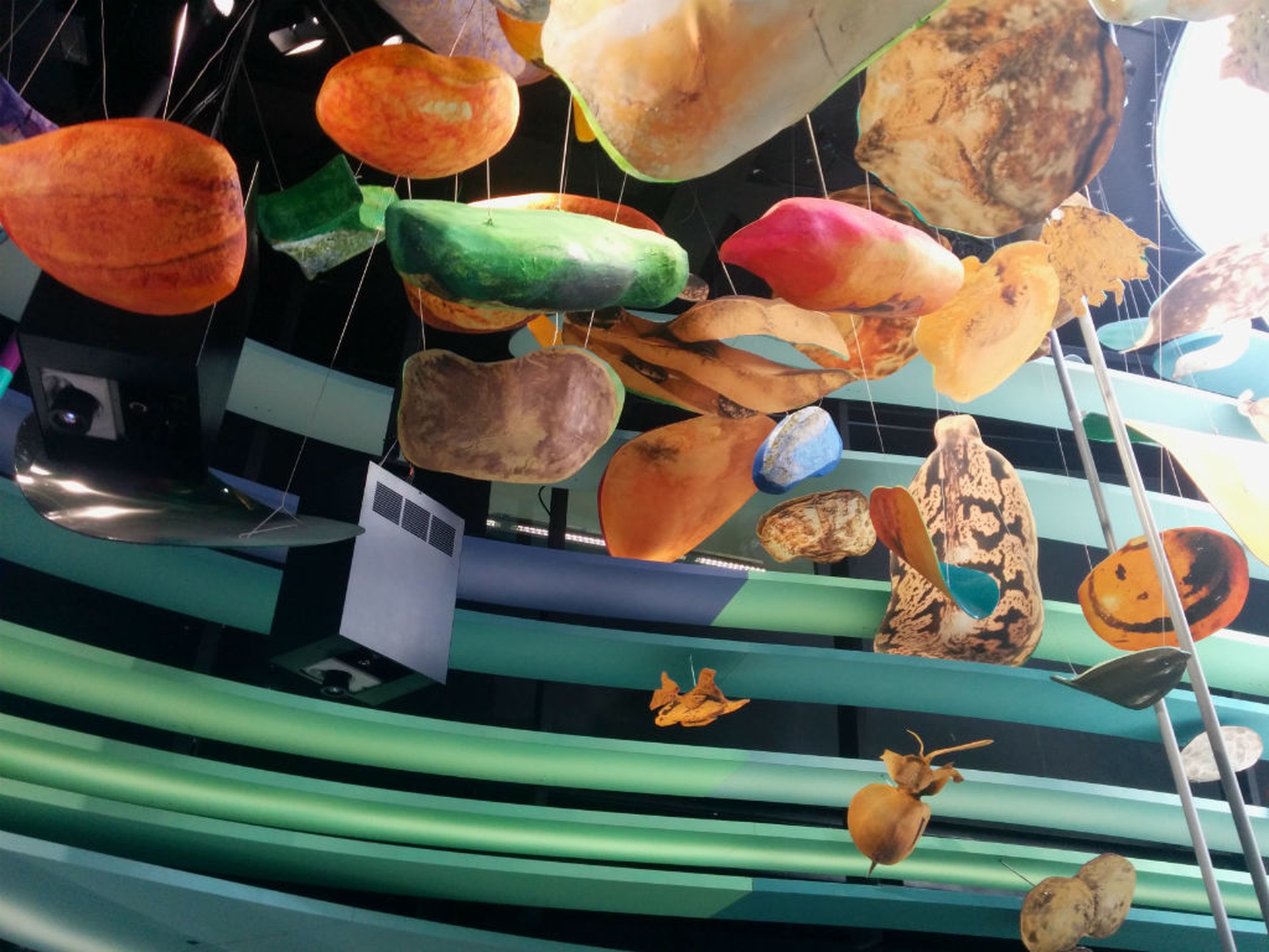 La Germania a Expo parla di clima, biodiversità, suolo e acqua. Per il pianeta di domani