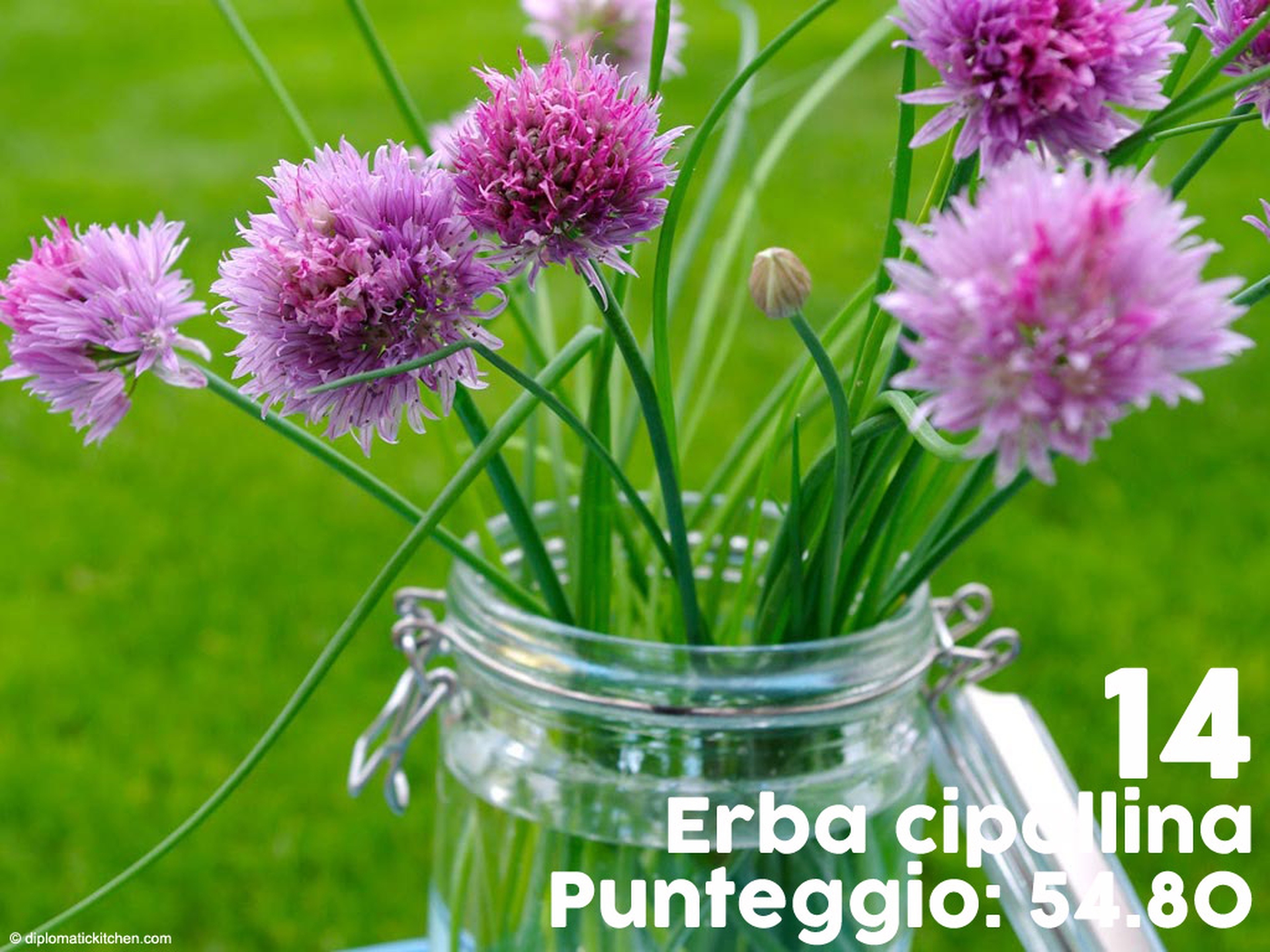 frutti-e-verdure-supernutrienti-14