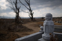 Fukushima 5 anni dopo. Dopo la rabbia e l’incertezza è tempo della ripresa