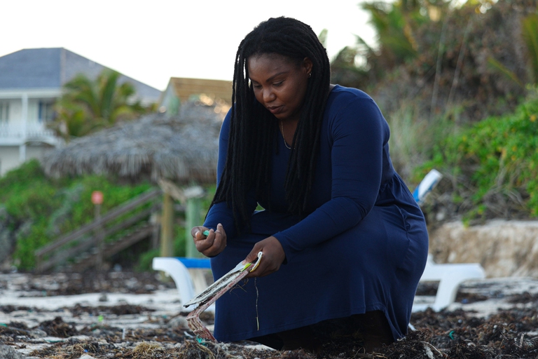 Goldman environmental prize, Kristal Ambrose