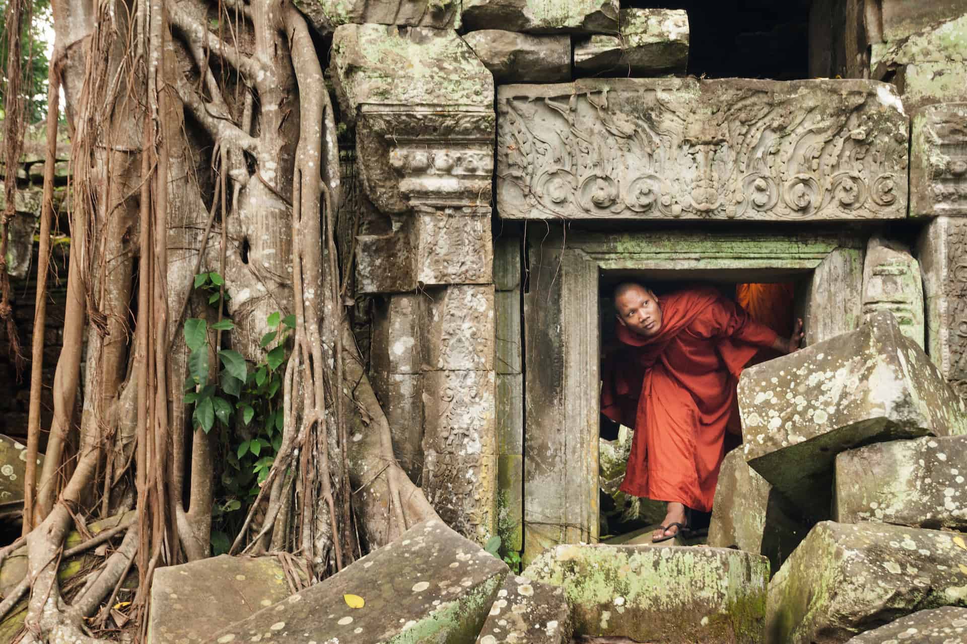 La foresta cambogiana ha invaso i templi di Angkor