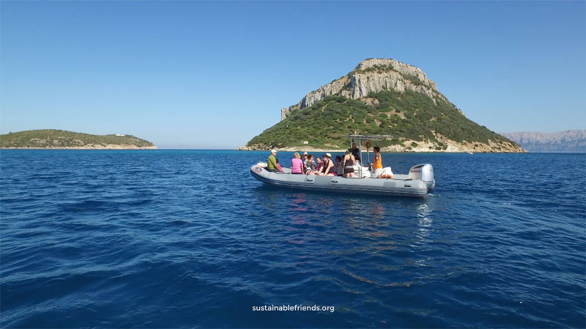 Vedere i delfini in Sardegna: si può tutto l'anno a Golfo Aranci