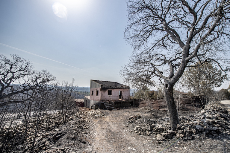 Dalla Spagna all’Inghilterra, l’Europa nella morsa di caldo e incendi