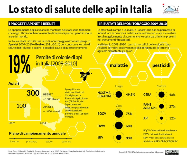 le api in Italia