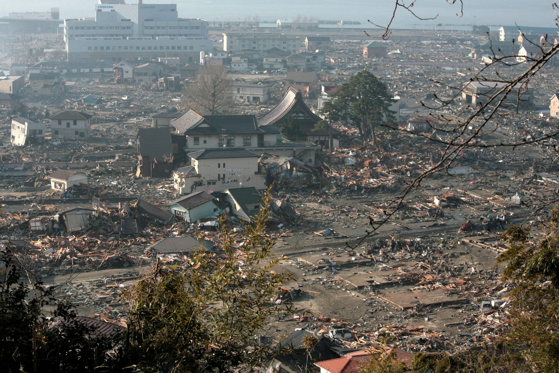 Fukushima cinque anni dopo