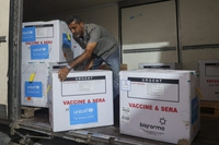 A Gaza ci saranno tre brevi pause umanitarie per consentire la vaccinazione contro la poliomielite