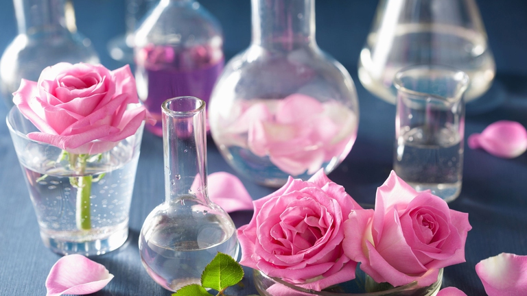 L'olio essenziale di rosa ha virtù antiage - Ingimage