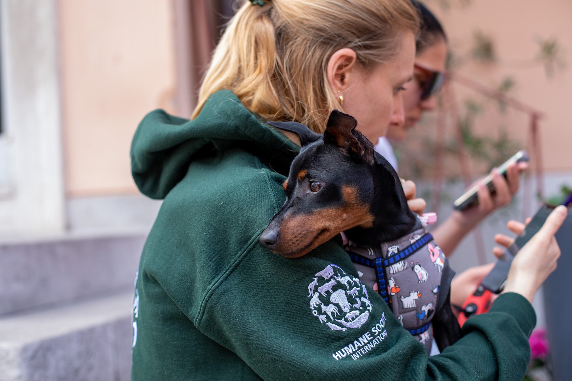 HSI ha donato un nuovo cappottino al cane Loris fuggito insieme alla sua umana Katja da Kiev a causa della guerra in Ucraina