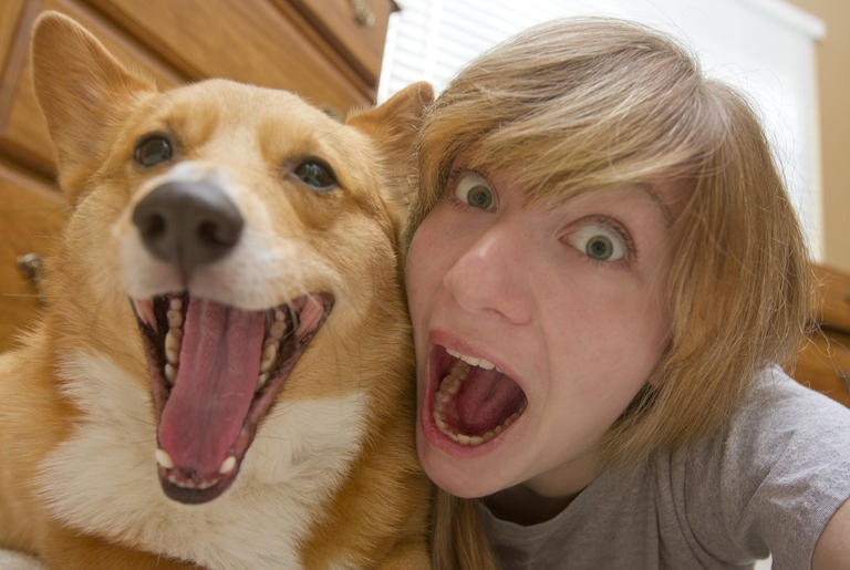 Ragazza con il suo cane corgi