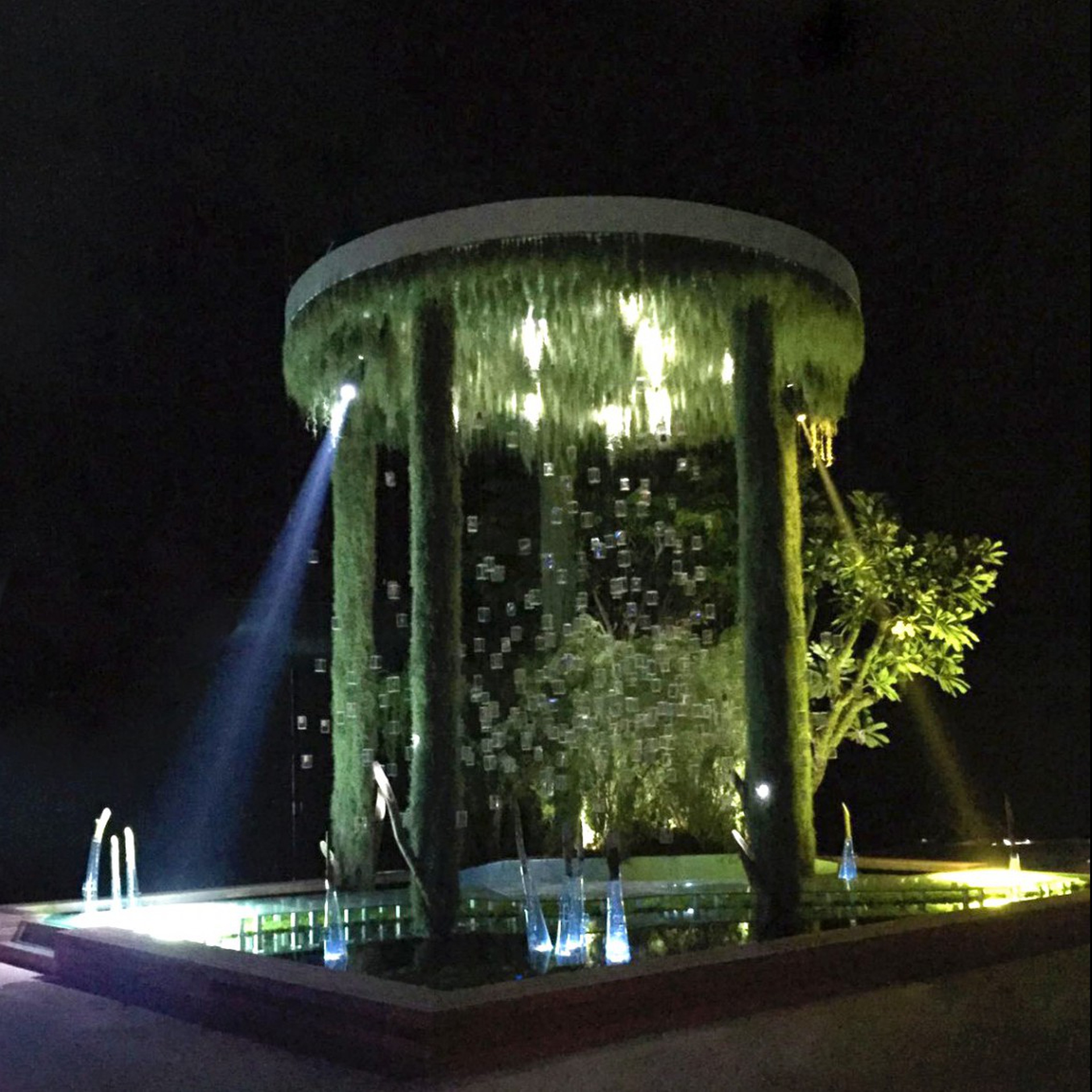 Il giardino di 80 metri quadrati