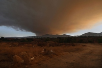 I fumi degli incendi in California sono più velenosi del traffico