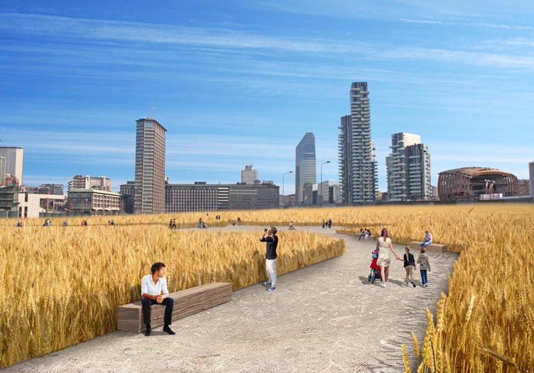 wheatfield riqualificazione urbana