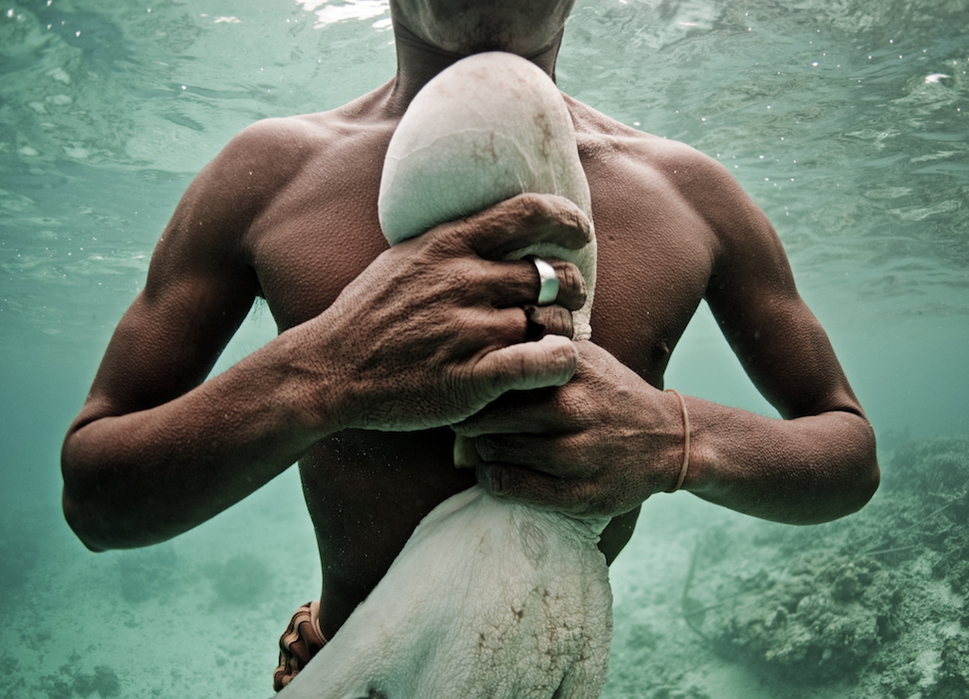 I Bajau Laut, gli ultimi nomadi del mare, fotografati da James Morgan per WWF