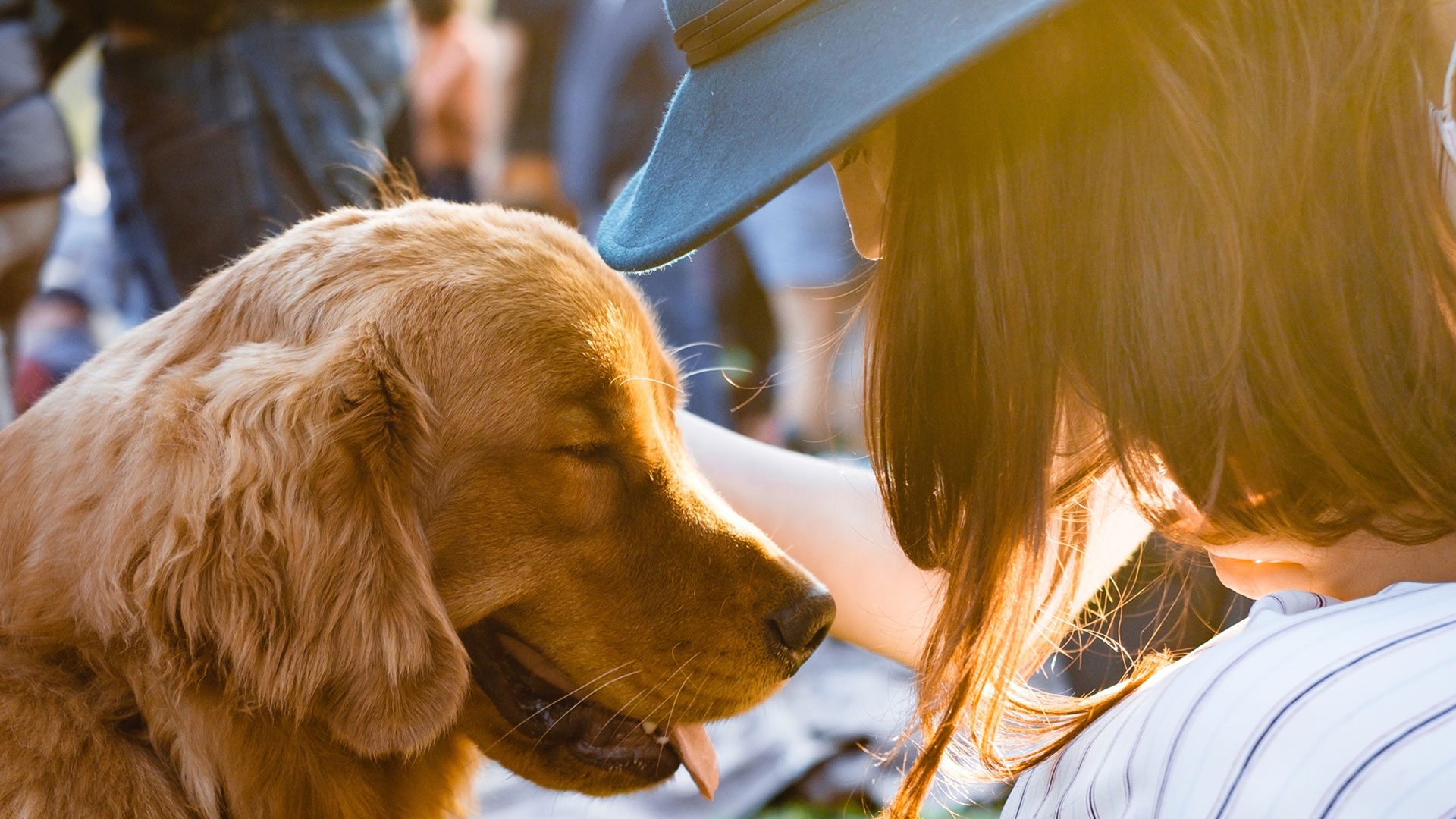 Livorno apre un rifugio per i cani delle donne vittime di violenza -  LifeGate