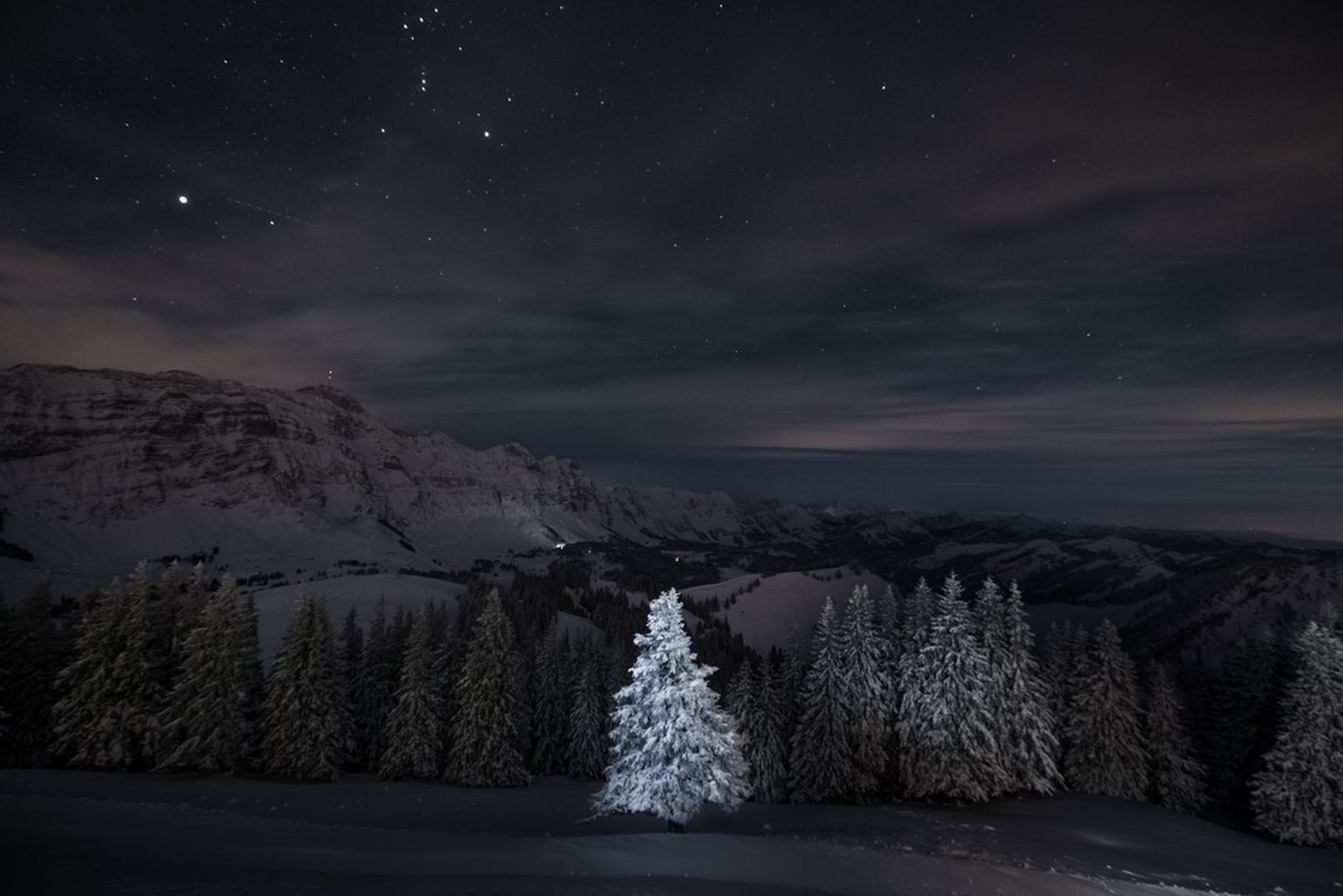 Lighten up, Sylvia Michel – Sony World Photography Awards 2018