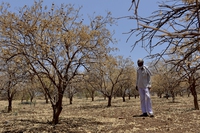 Cosa sono El Niño e La Niña e cosa dobbiamo aspettarci nel 2023
