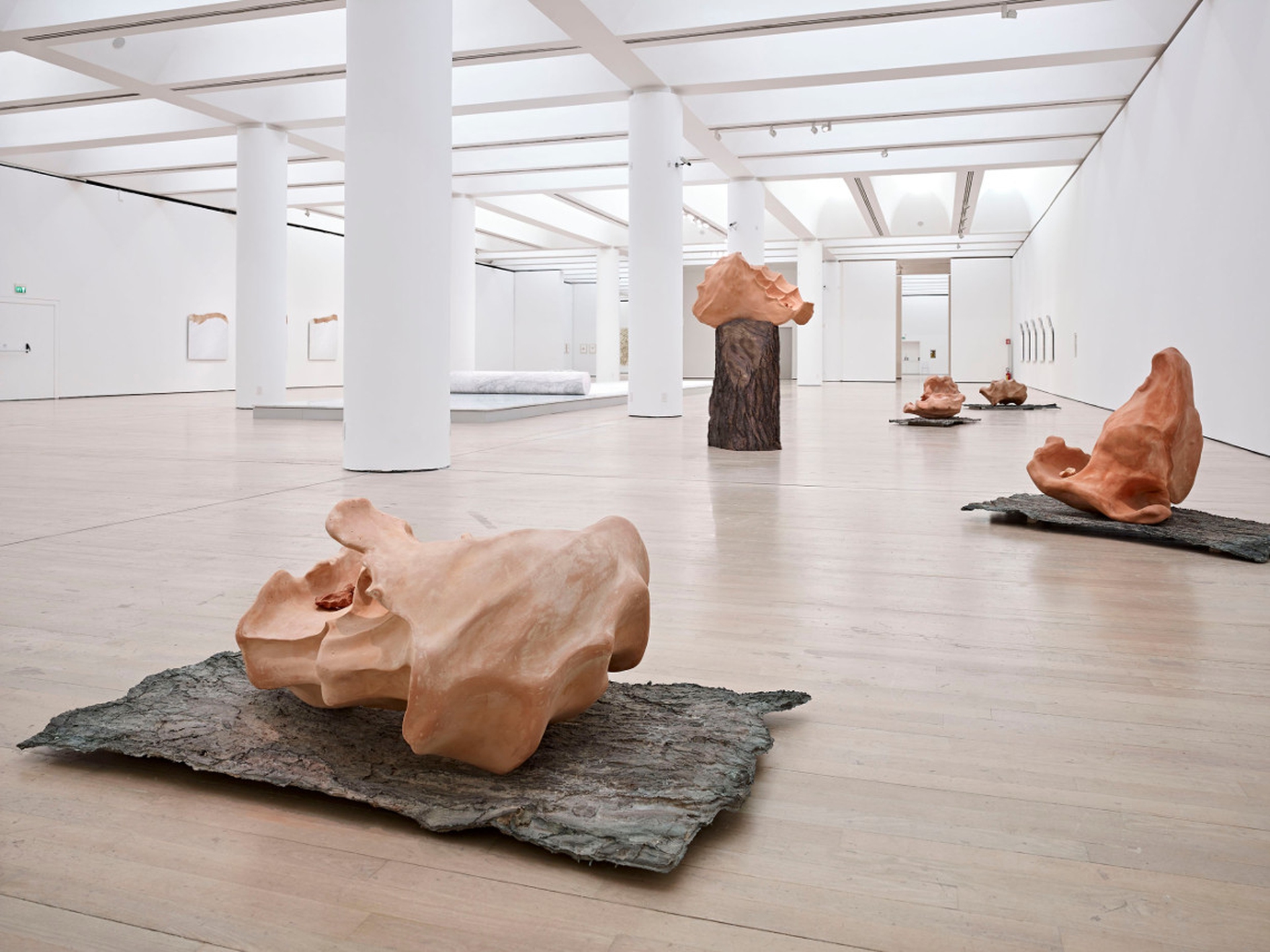 14Mart_Giuseppe penone_Avvolgere la terra