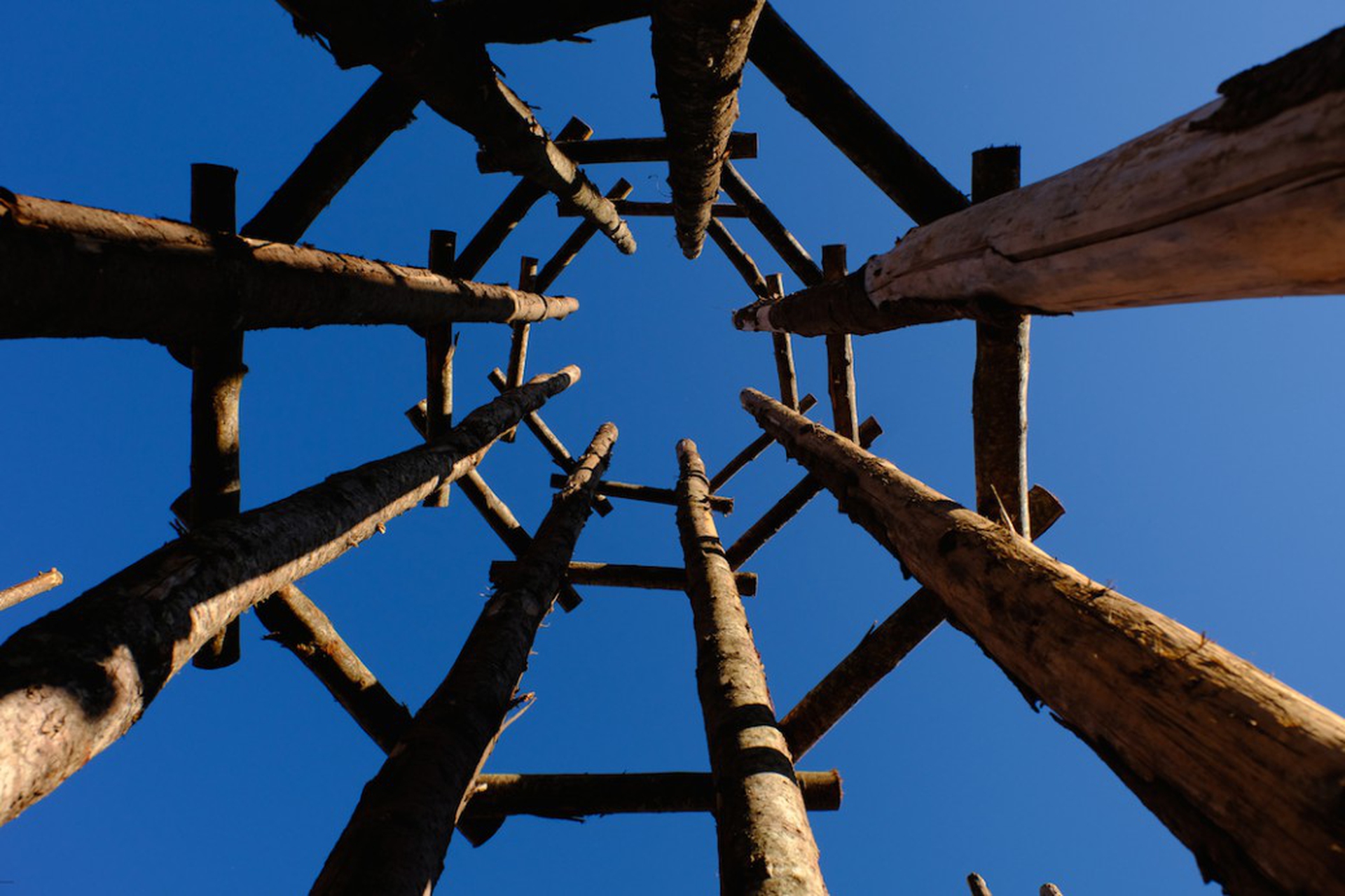 Cos'è la Cattedrale vegetale di Giuliano Mauri a Lodi, e quando si può visitare