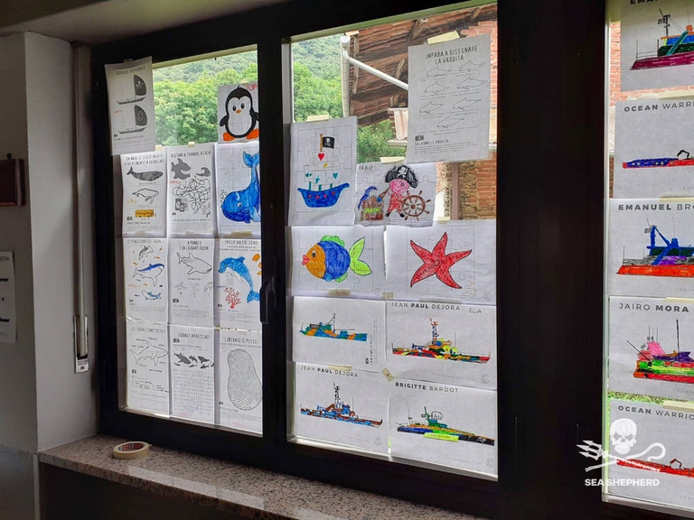 Sea Shepherd nelle scuole