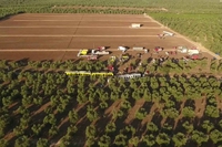 Puglia, dove la disuguaglianza corre sui binari
