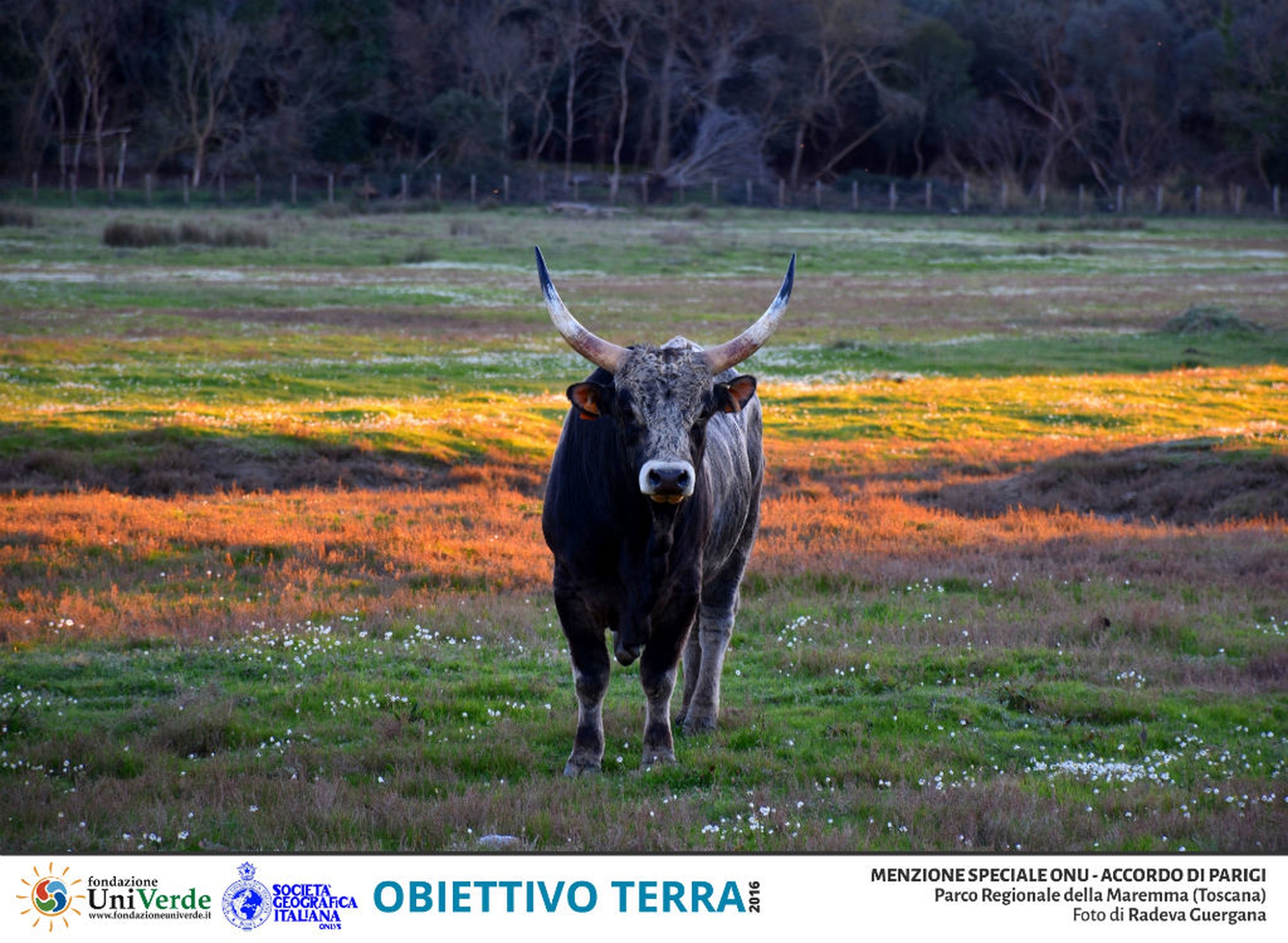 Radeva Guergana PR Parco Naturale della Maremma MENZIONE ONU - ACCORDO DI PARIGI_1