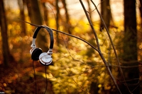 A playlist to celebrate the 5th of June, World Environment Day