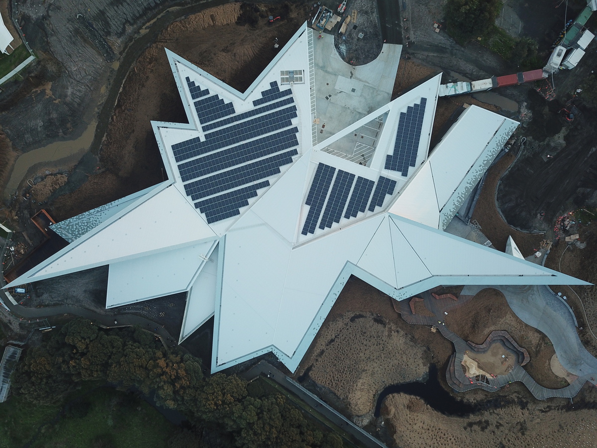 I pinguini dell'isola di Phillip