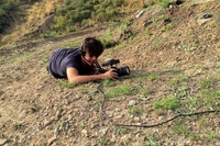 Yuval Avital. Il tremore dell’Etna, della carne e della Terra