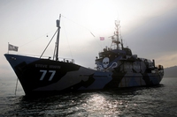 Sea Shepherd salpa per bloccare le baleniere giapponesi in Antartico