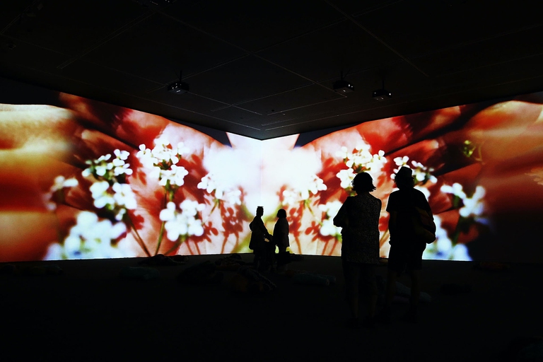 videoarte, Mercy garden retour skin di Pipilotti Rist