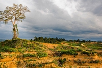 What is Earth Overshoot Day and why we have a debt with the Earth