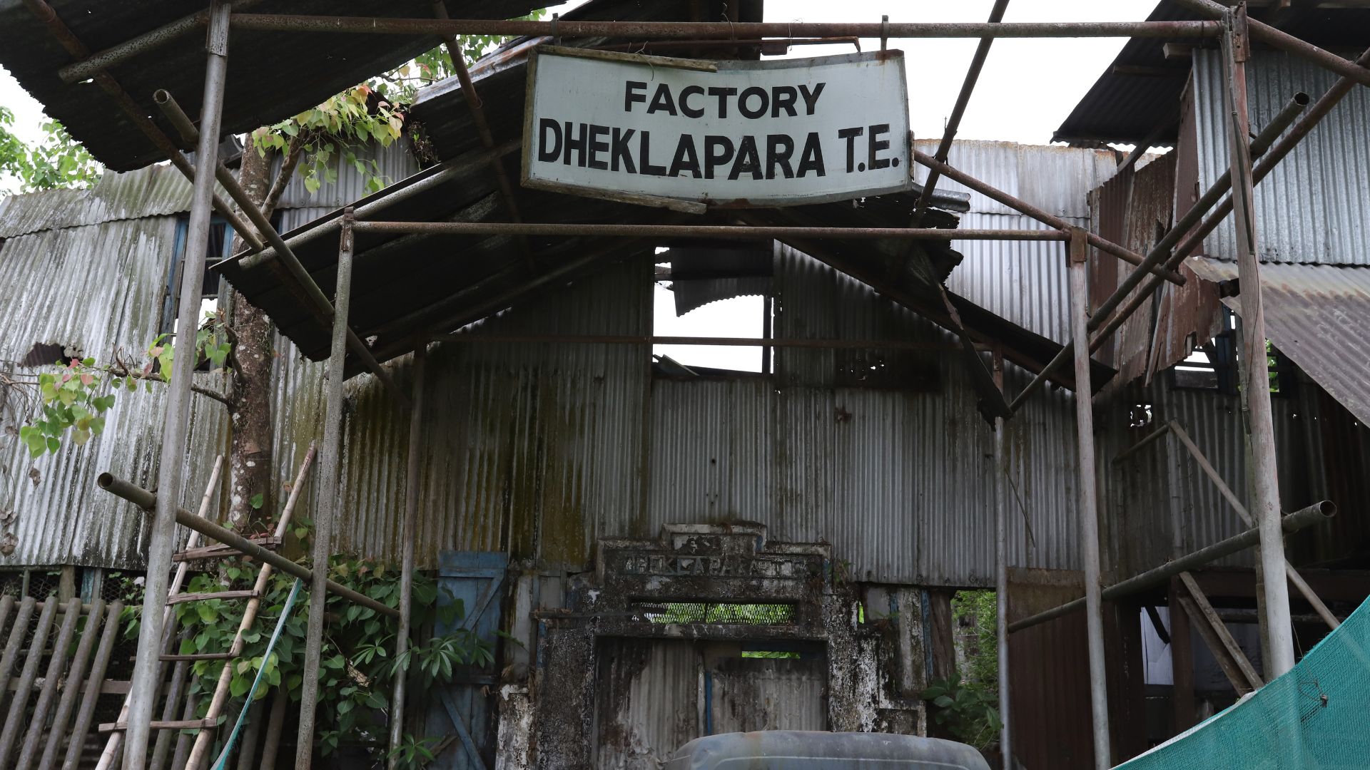 Dheklapara tea factory