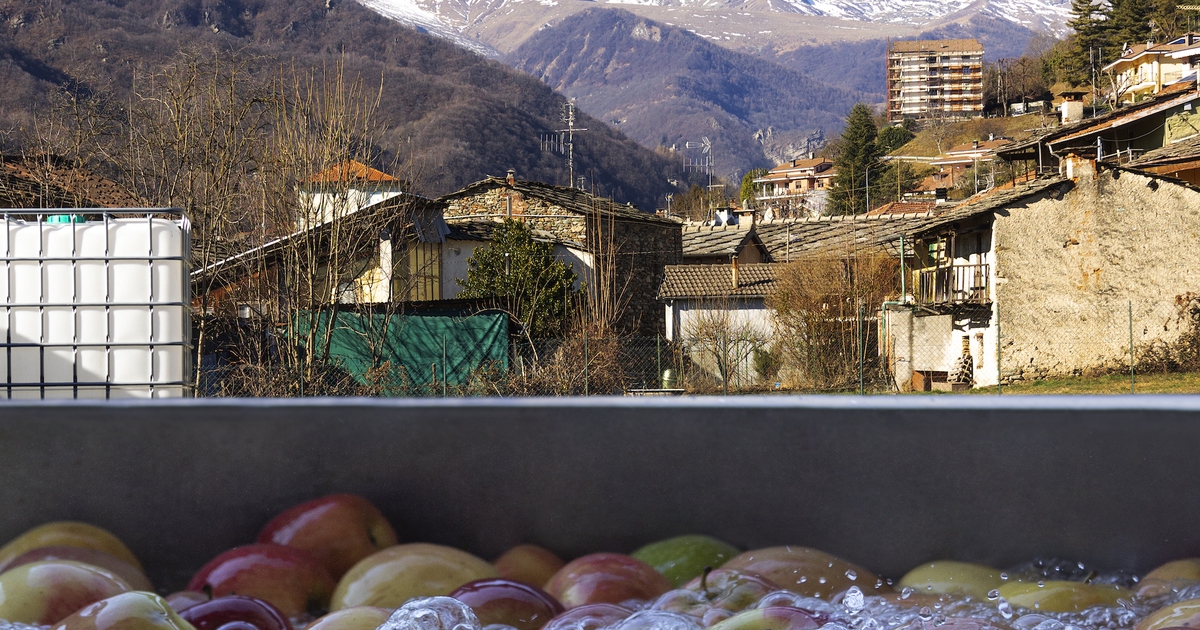 Tracciabilità economia circolare e lotta allo spreco alimentare l impegno per la sostenibilità