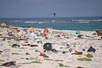 Siamo in un mare di plastica, 100 milioni di cotton fioc sulle spiagge italiane