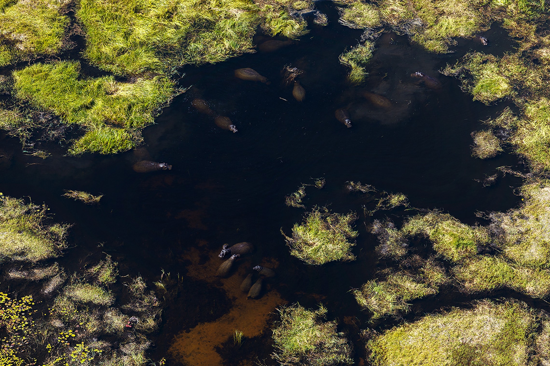 Terra, il nuovo documentario di Yann Arthus-Bertrand