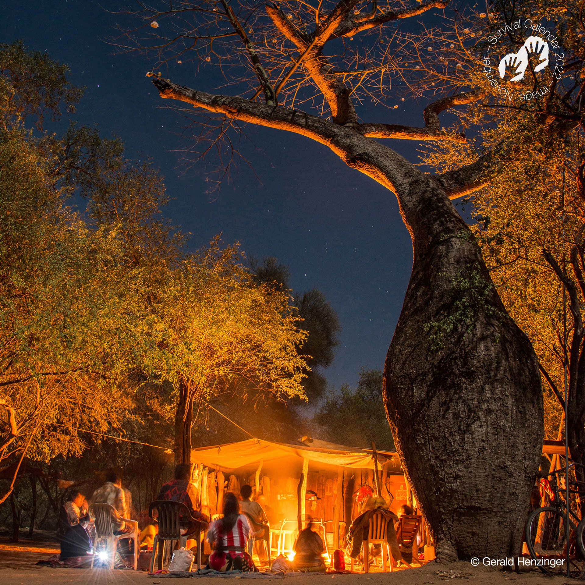 foresta degli Ayoreo incontattati