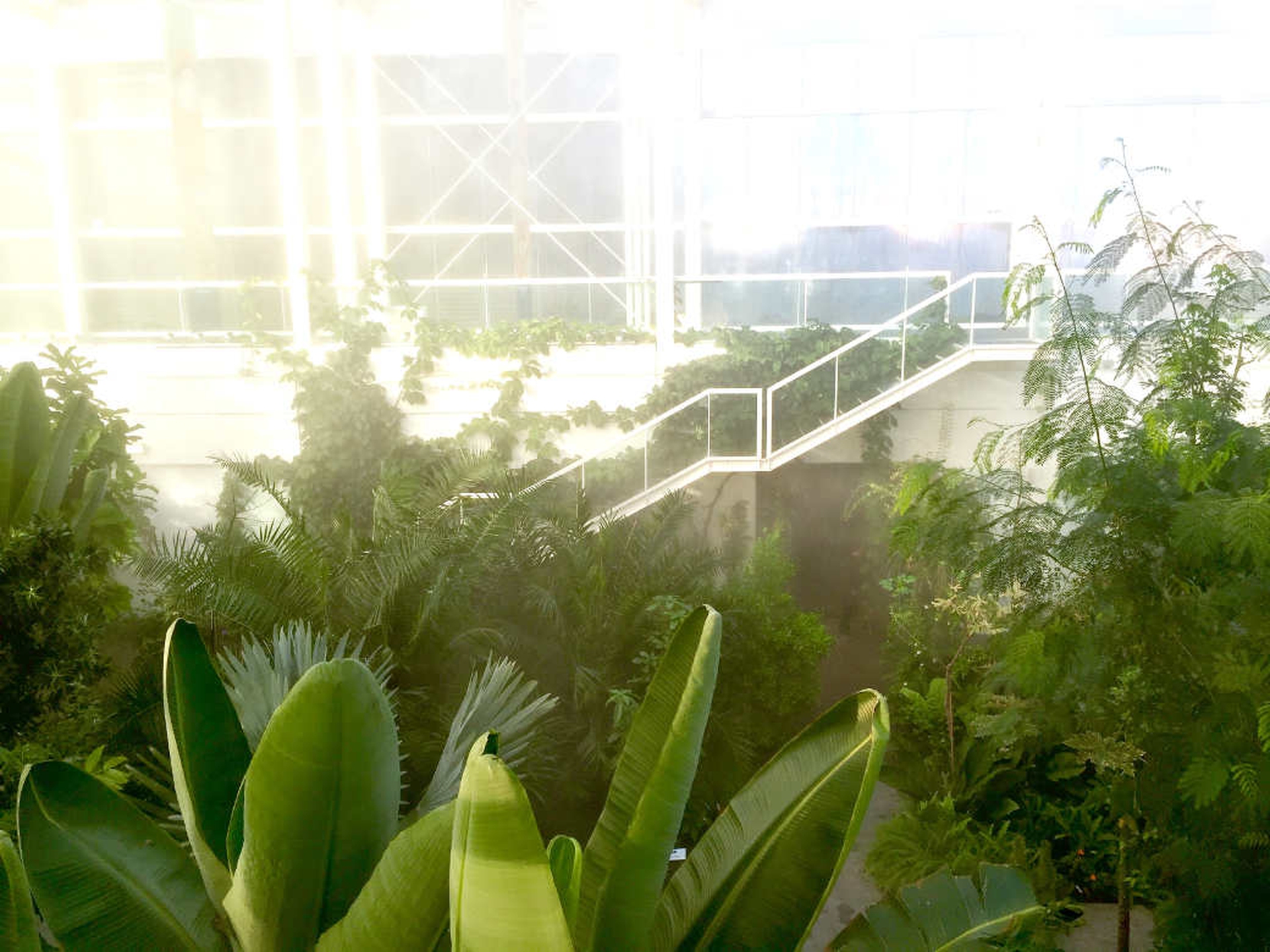 Serra Tropicale Giardino della Biodiversità