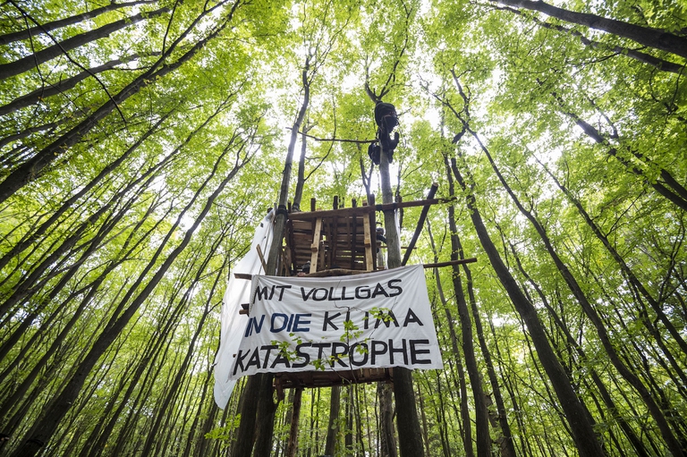 alberi autostrada a49 germania