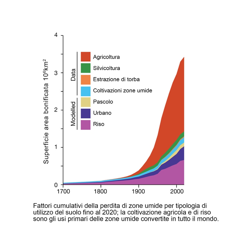 grafico zone umide