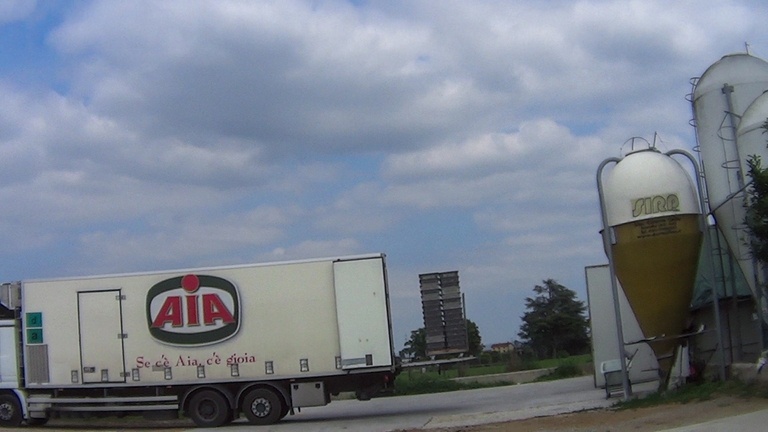 aia produttore avicolo italiano