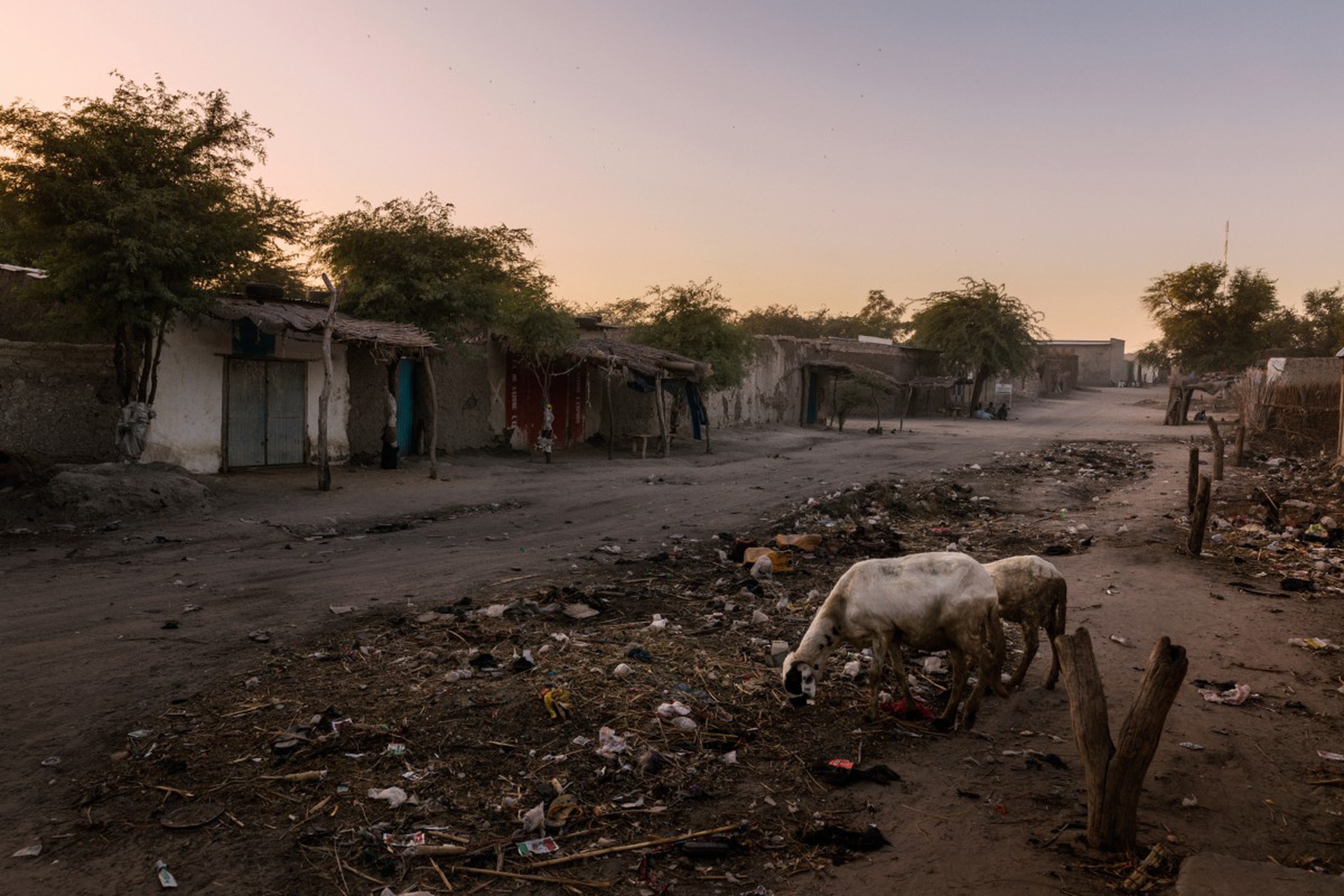 La crisi del lago Ciad, Marco Gualazzini