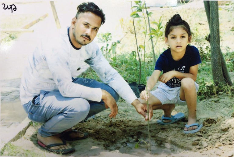 Ferozepur punjab india plating trees gun licences water crisis