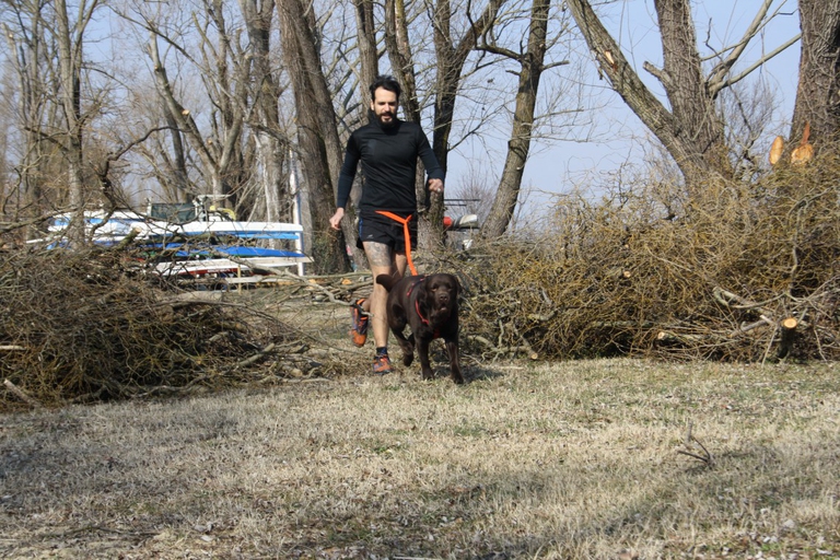 dog human fitness Bruno Ferrari