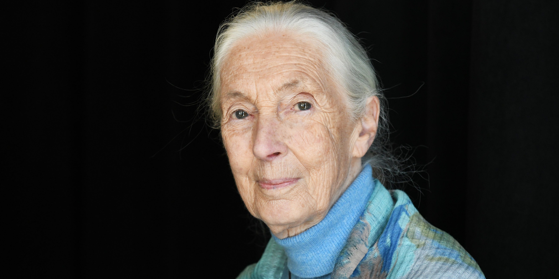90 anni dalla parte di tutti i primati: tanti auguri Jane Goodall ...