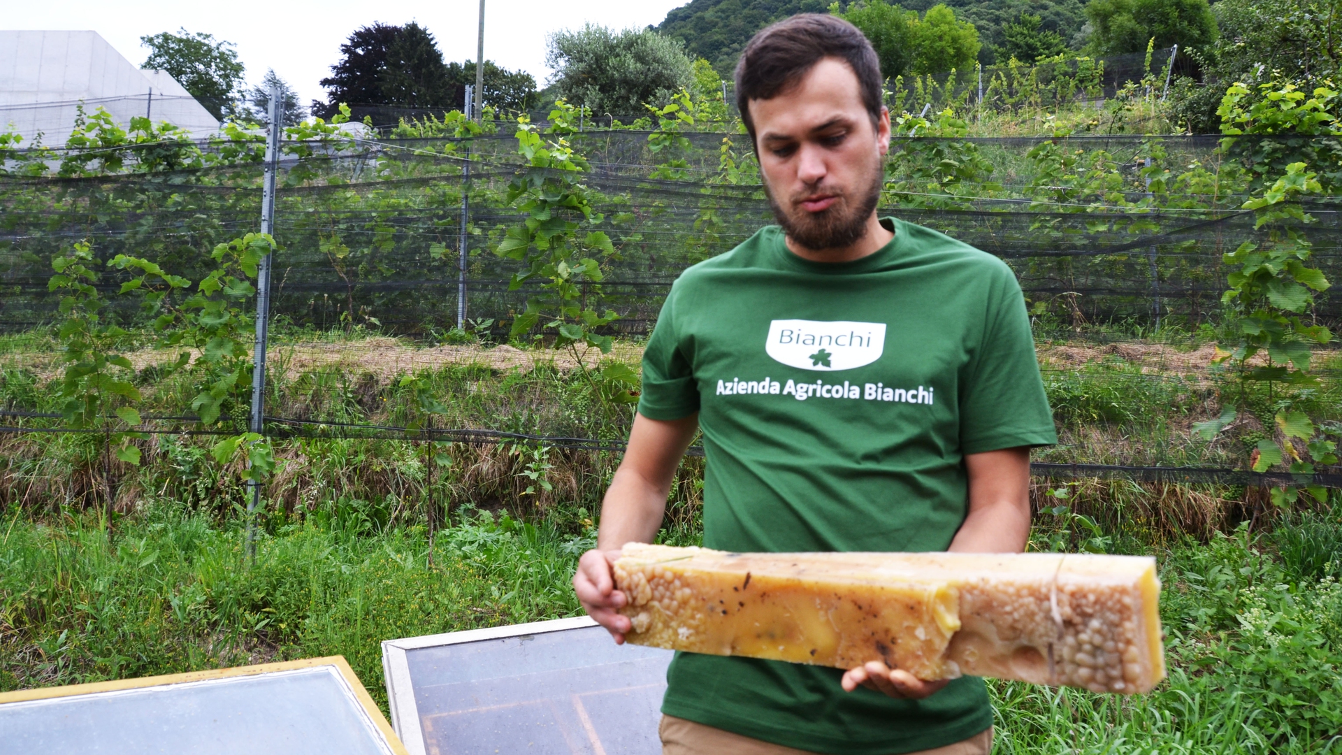 L’Azienda Agricola Bianchi, in Val Mara