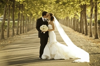 Come organizzare un matrimonio sostenibile