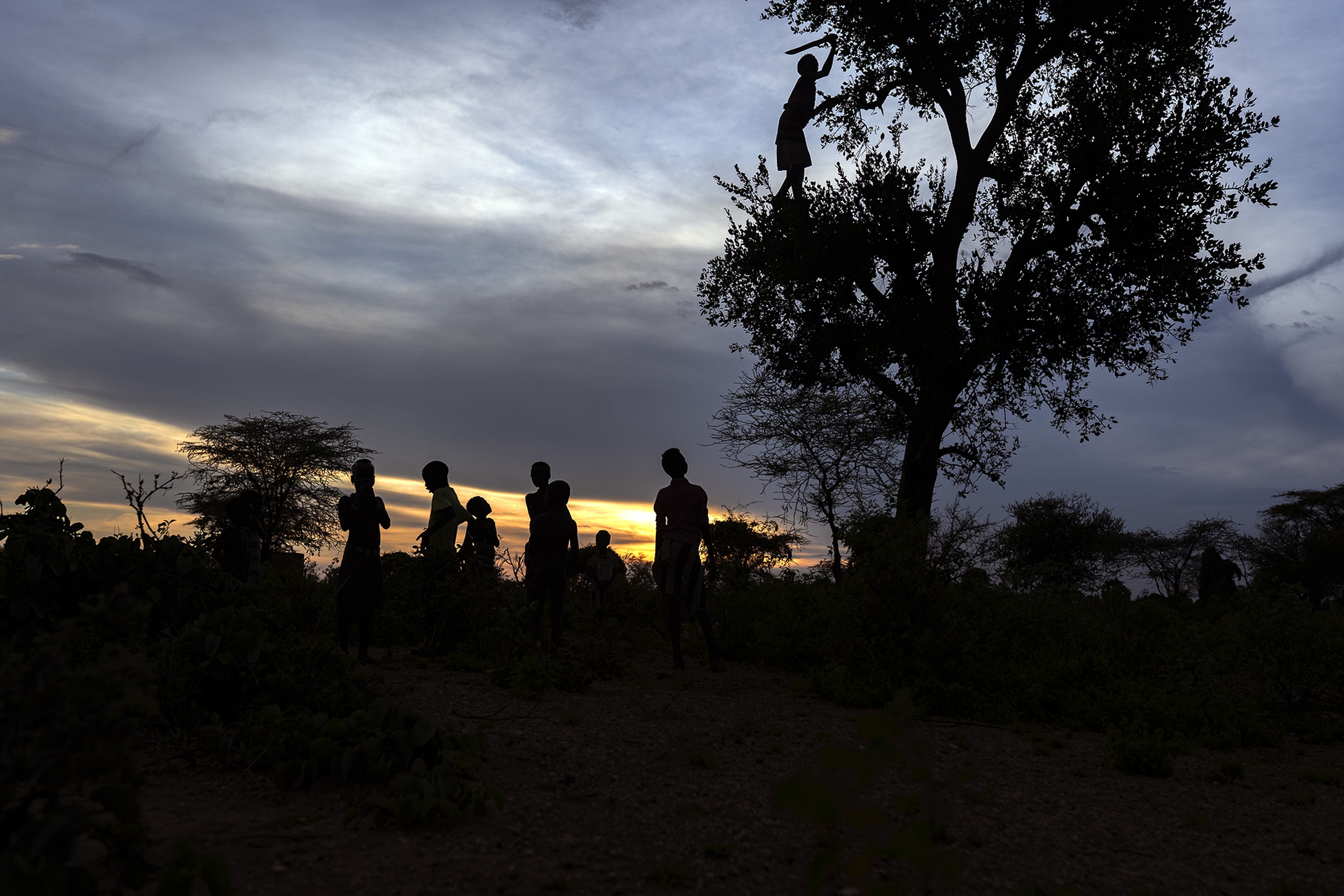 Lower Omo Valley, Hamer tribe