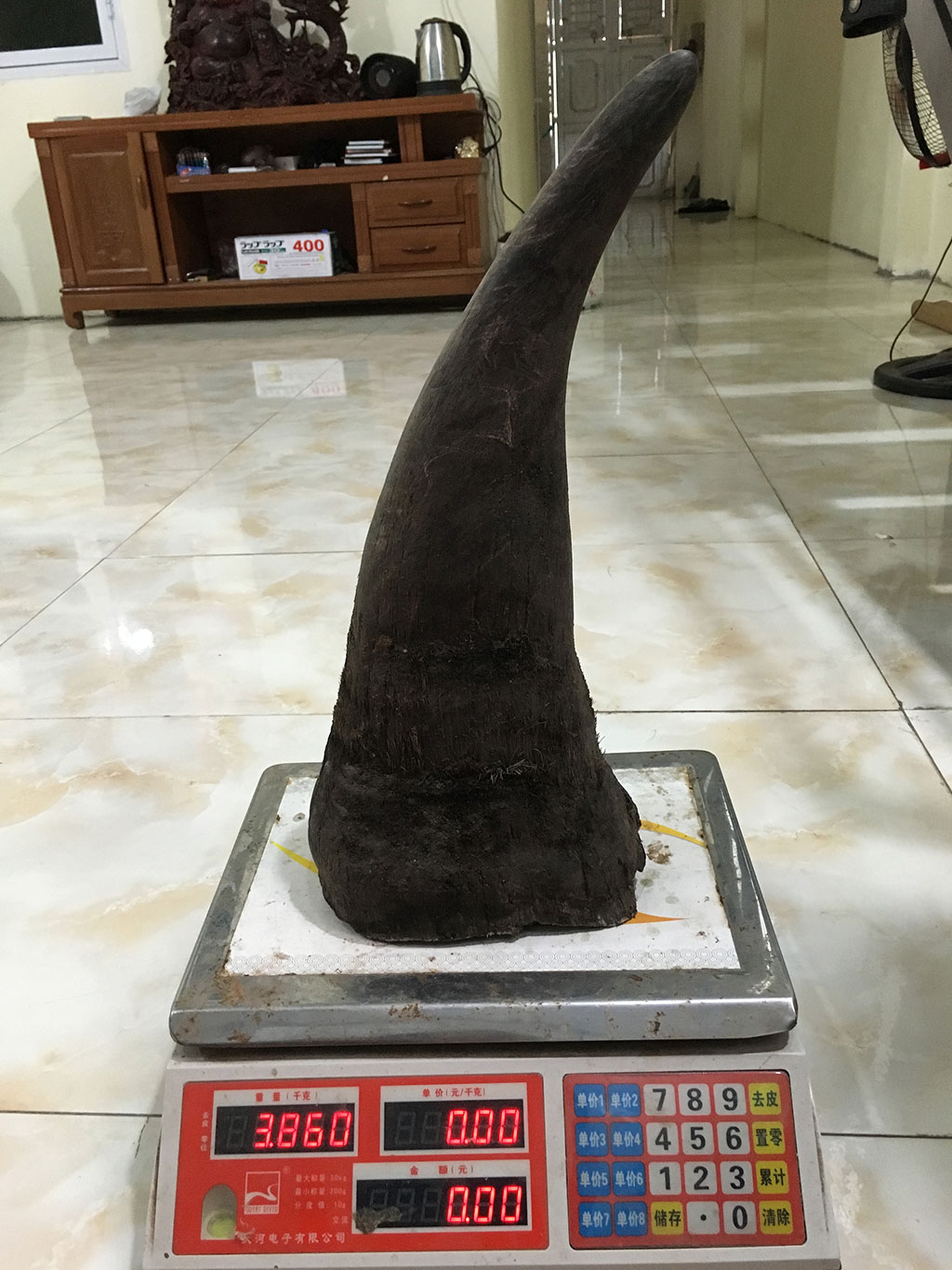 Rhino horn