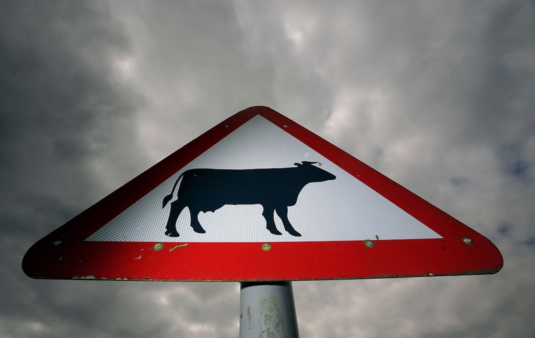 hamburger stati uniti